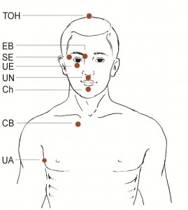 The Basic Recipe Tapping Points