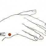 The Karate Chop Tapping Point of The Basic Recipe